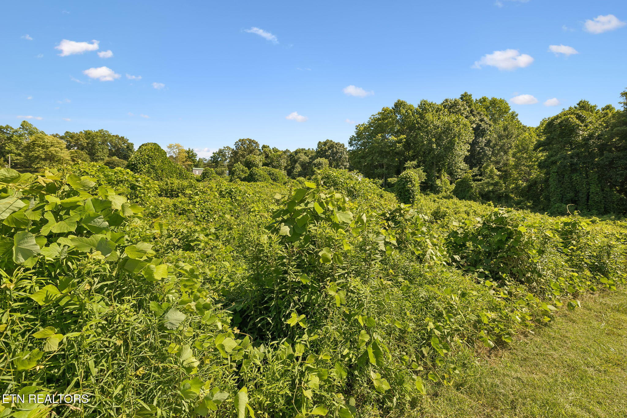 140 Scenic View Lane