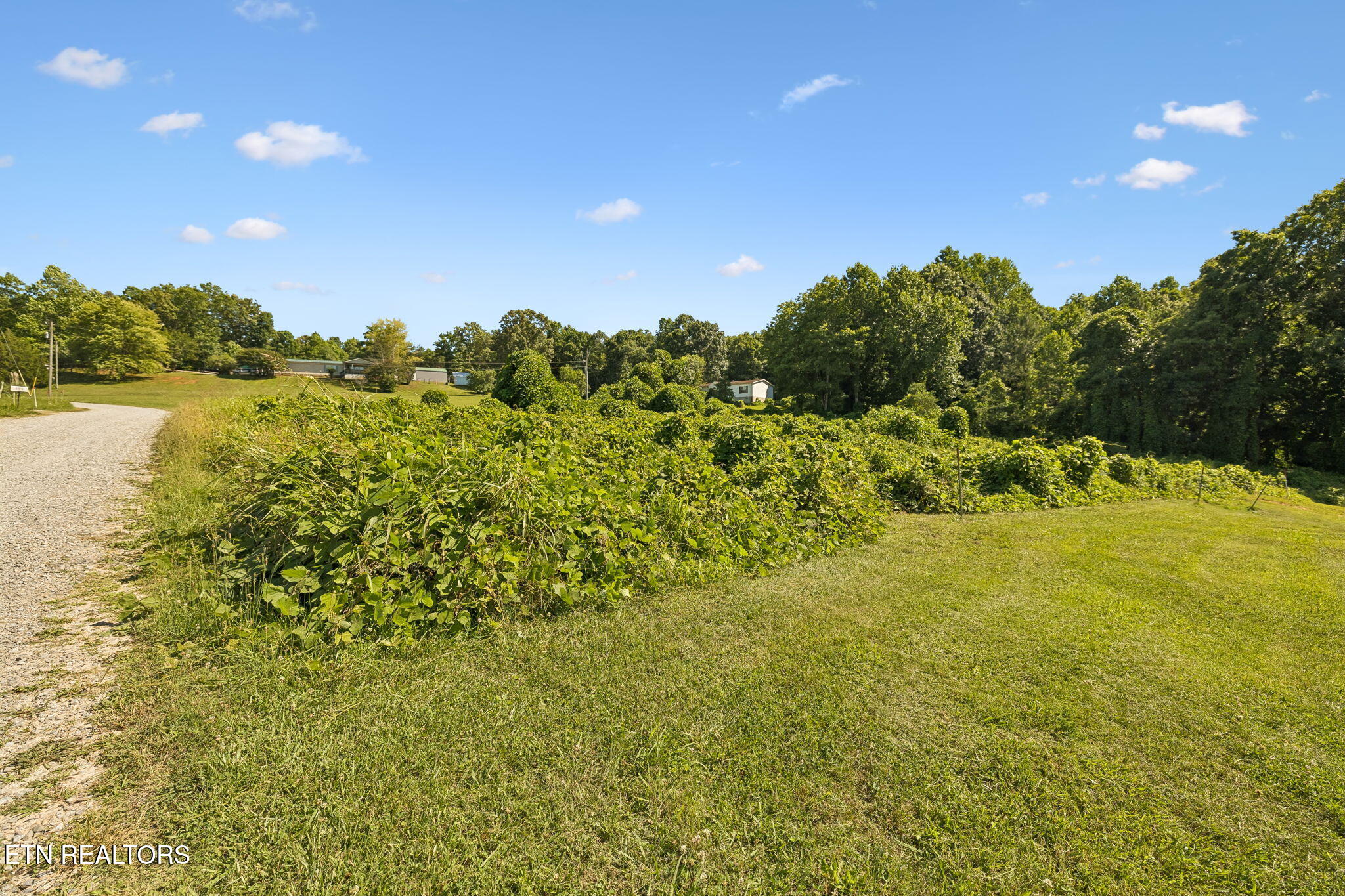 140 Scenic View Lane
