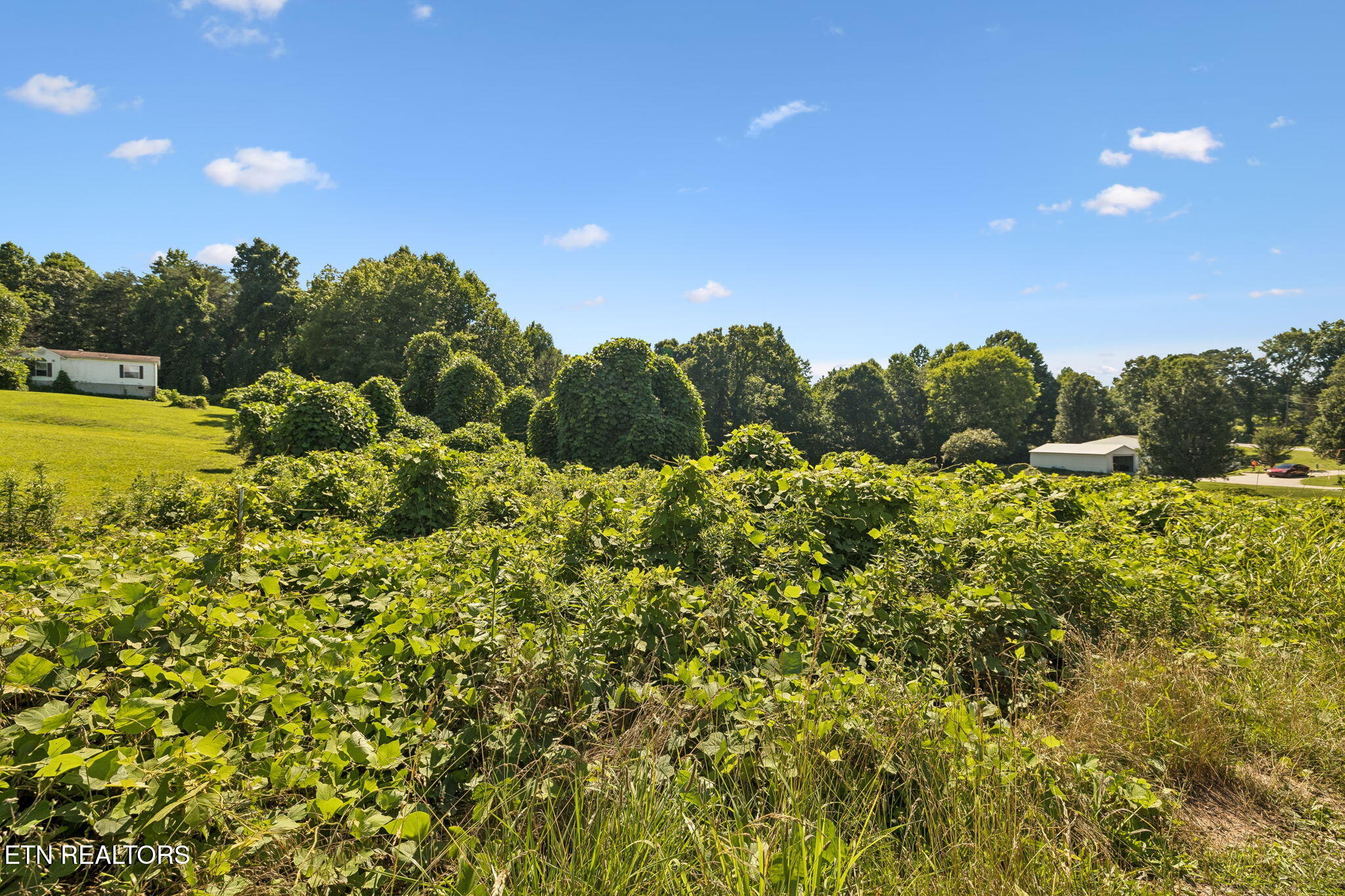 140 Scenic View Lane