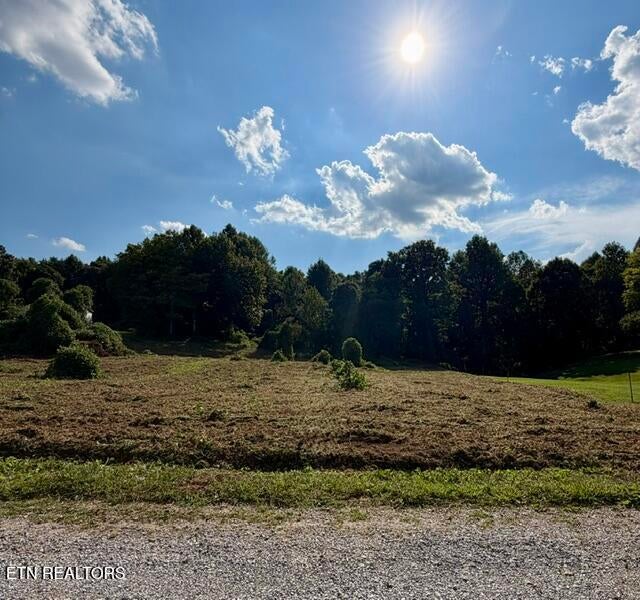 Photo of 140 Scenic View Lane, Madisonville, TN 37354 (MLS # 1345186)