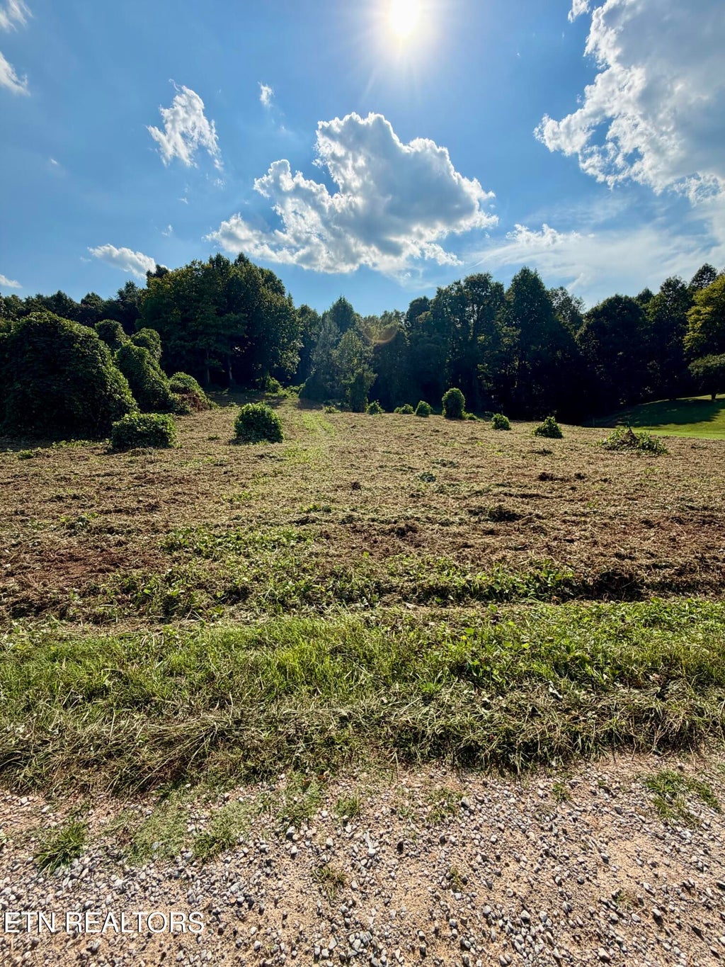Photo of 140 Scenic View Lane, Madisonville, TN 37354 (MLS # 1345186)