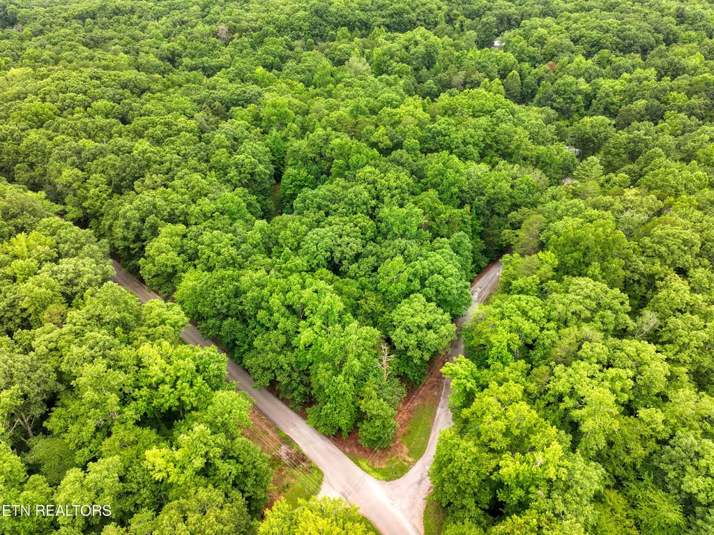 Photo of Lake Overlook Drive, Rockwood, TN 37854 (MLS # 1348536)
