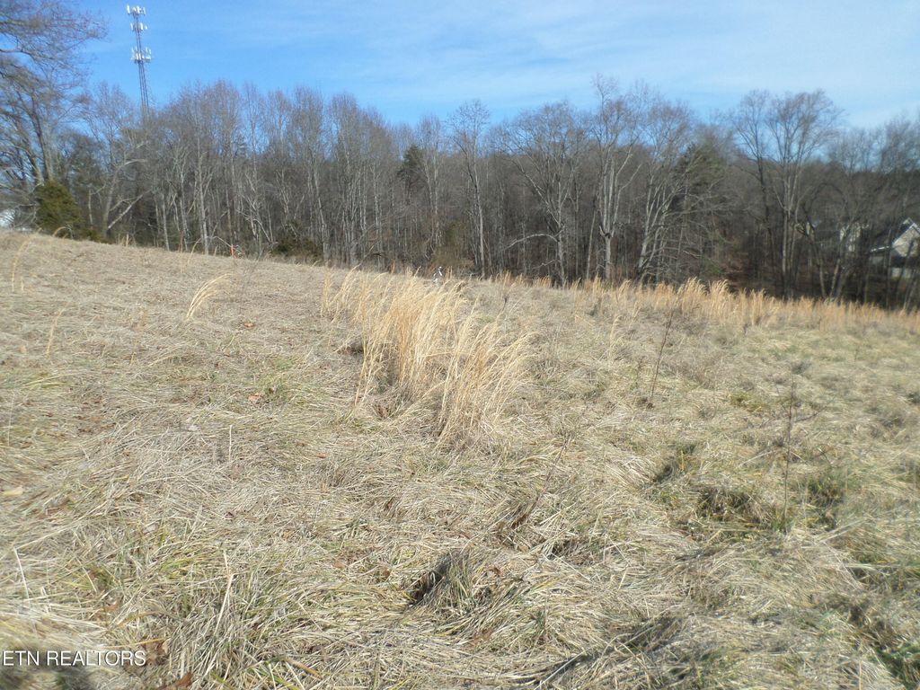 Photo of 3 Dogwood Rd, Knoxville, TN 37931 (MLS # 1330618)