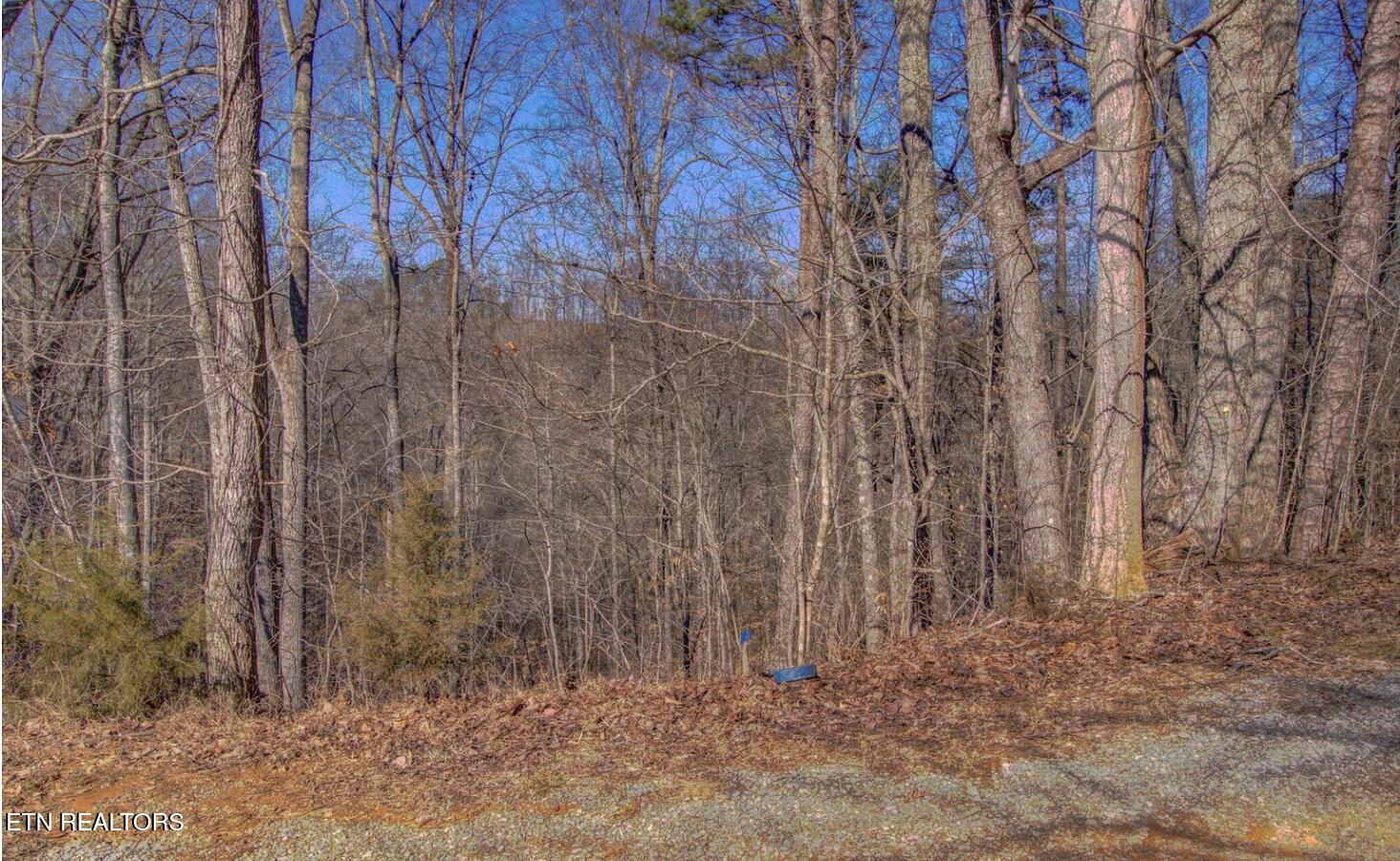 4575 Crooked Creek Way Lots 2 & 3