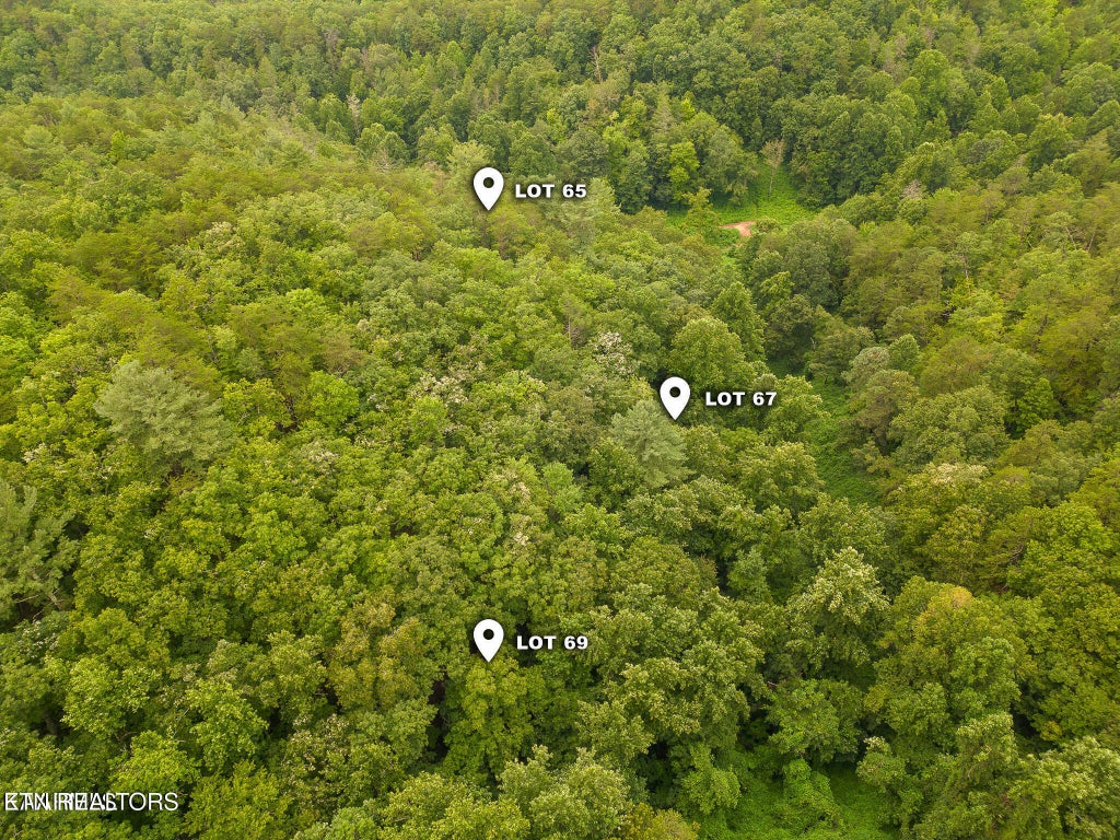 Photo of Azalea Tr, Sevierville, TN 37876 (MLS # 1345083)