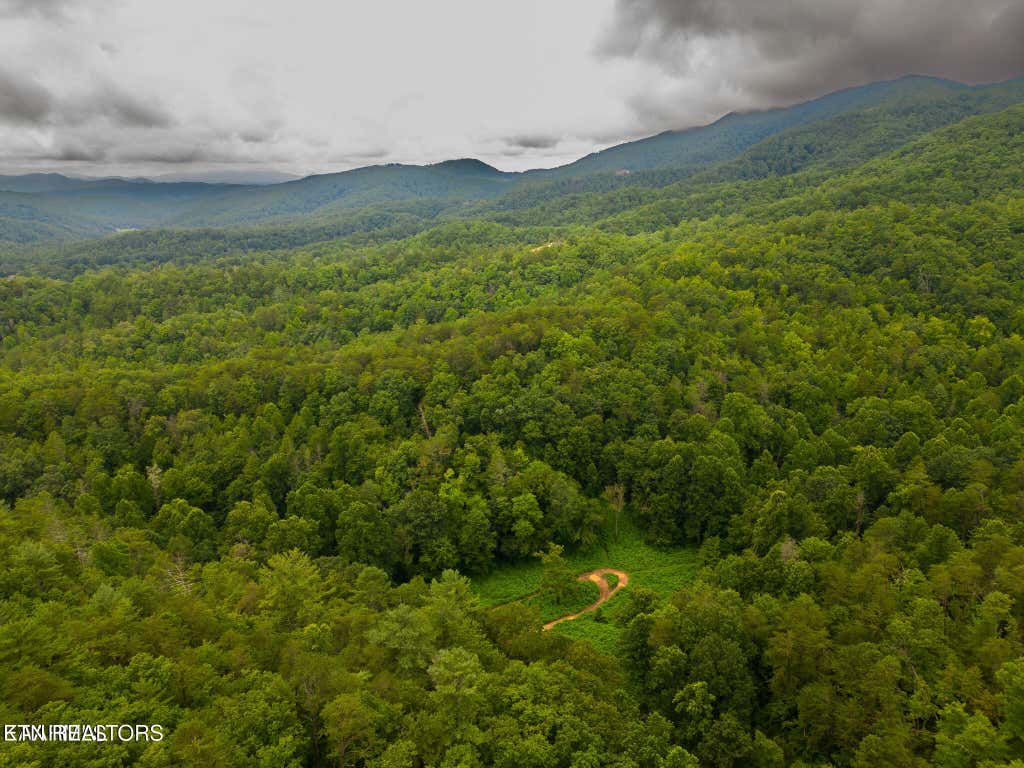 Photo of Azalea Tr, Sevierville, TN 37876 (MLS # 1345083)
