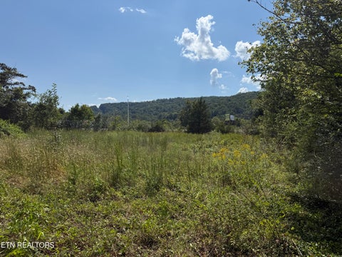 Tiny photo for 0 Sharpe Drive #0, Rocky Top, TN 37769 (MLS # 1357543)