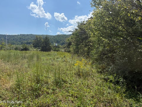 Tiny photo for 0 Sharpe Drive #0, Rocky Top, TN 37769 (MLS # 1357543)