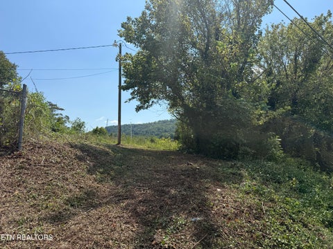 Tiny photo for 0 Sharpe Drive #0, Rocky Top, TN 37769 (MLS # 1357543)