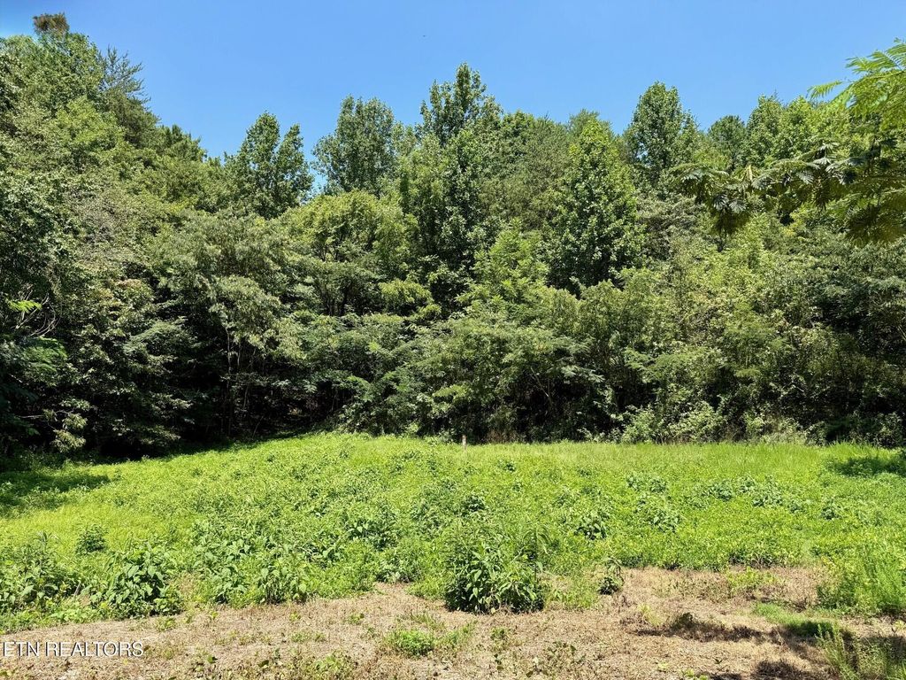 Photo of Lot 0000 Ogle Drive, Pigeon Forge, TN 37863 (MLS # 1314572)