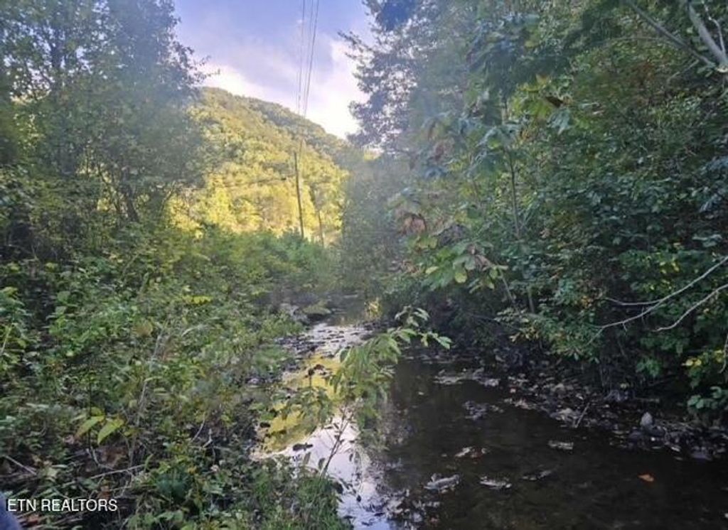 Photo of TBD Hwy 25E, Bean Station, TN 37708 (MLS # 1324192)