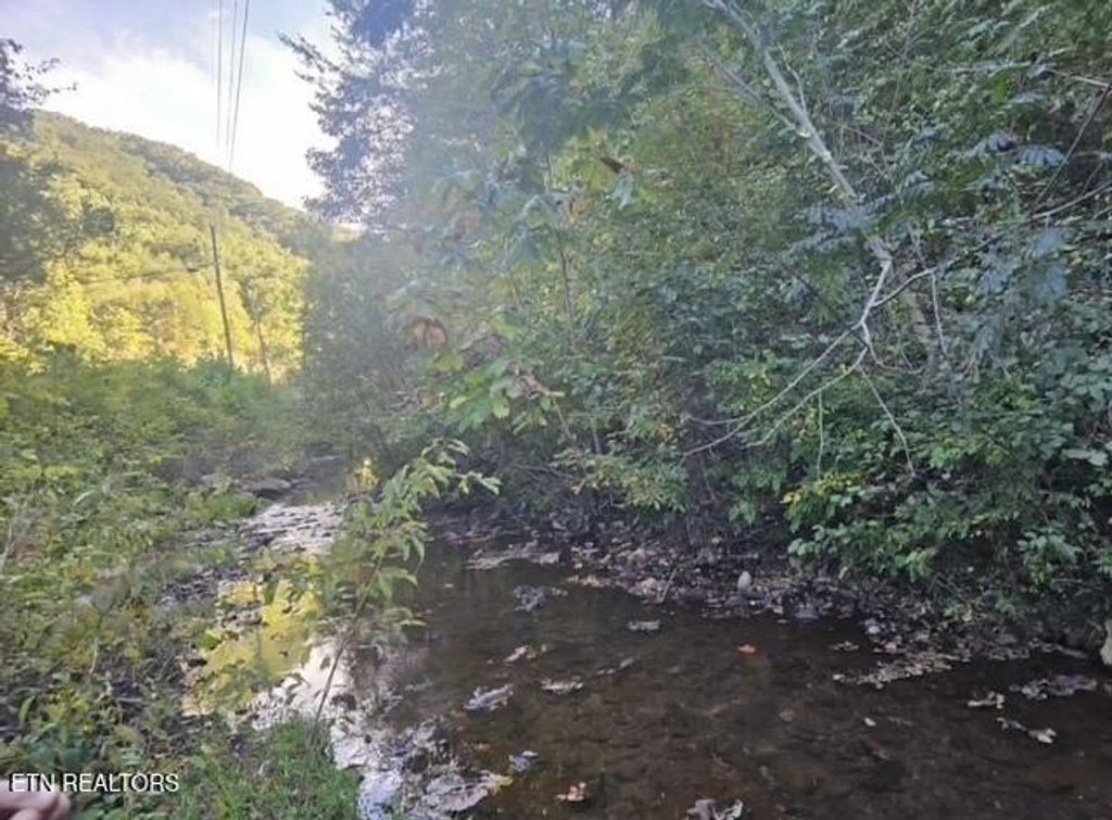 Photo of TBD Hwy 25E, Bean Station, TN 37708 (MLS # 1324192)