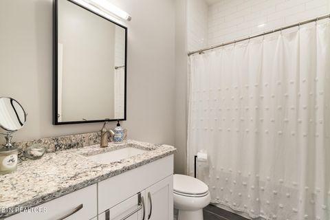 Tiny photo for 333 W Depot Ave #603, Knoxville, TN 37917 (MLS # 1342546)