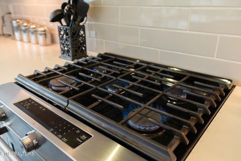 Tiny photo for 333 W Depot Ave #603, Knoxville, TN 37917 (MLS # 1342546)