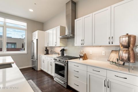 Tiny photo for 333 W Depot Ave #603, Knoxville, TN 37917 (MLS # 1342546)