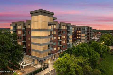 Photo of 333 W Depot Ave #603, Knoxville, TN 37917 (MLS # 1342546)