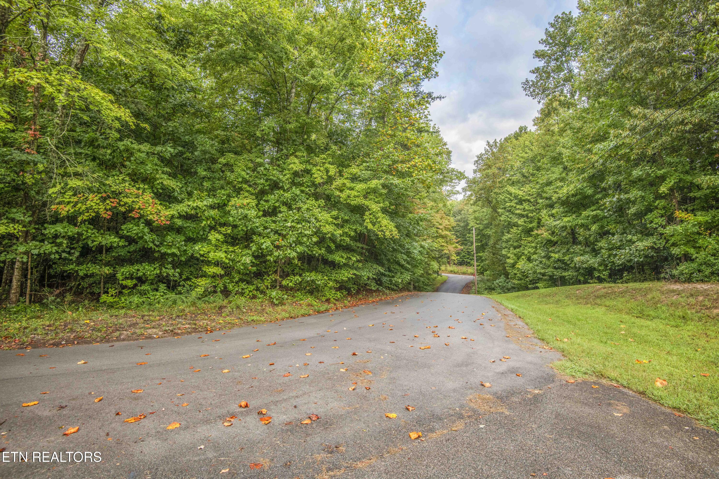 221 - 223 Phillips Drive