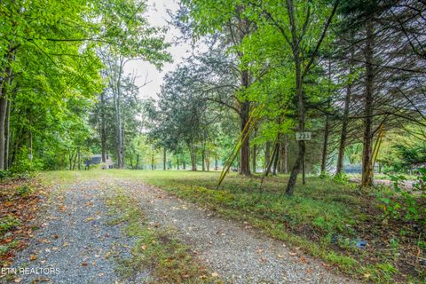 221 - 223 Phillips Drive Rockwood TN 37854