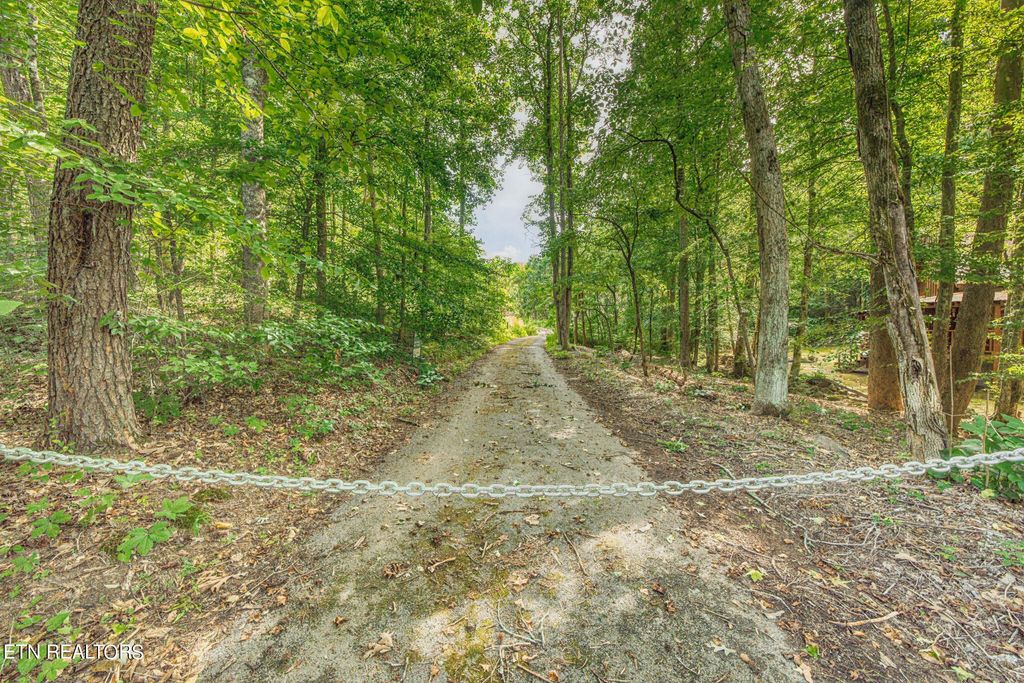 Photo of 1670 Jobey Green Hollow Rd, Sevierville, TN 37876 (MLS # 1331481)