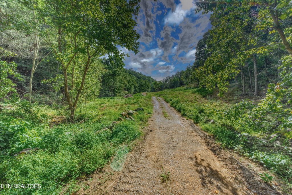 Photo of 1670 Jobey Green Hollow Rd, Sevierville, TN 37876 (MLS # 1331481)