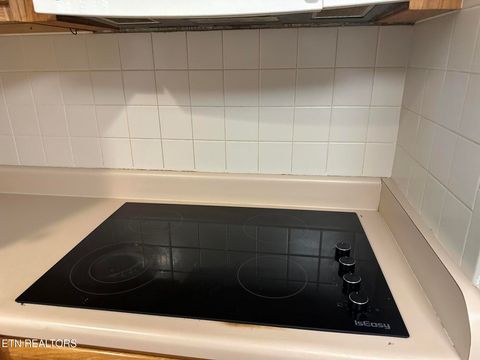 Tiny photo for 180 Cedar Lane, Jacksboro, TN 37757 (MLS # 1319790)