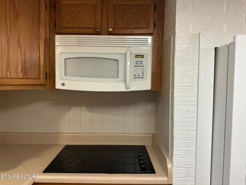 Tiny photo for 180 Cedar Lane, Jacksboro, TN 37757 (MLS # 1319790)