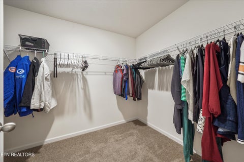 Tiny photo for 7415 Cottontail St, Corryton, TN 37721 (MLS # 1354896)