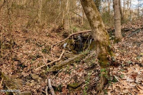 Tiny photo for 2067 Highpoint Lane, Sevierville, TN 37876 (MLS # 1330203)