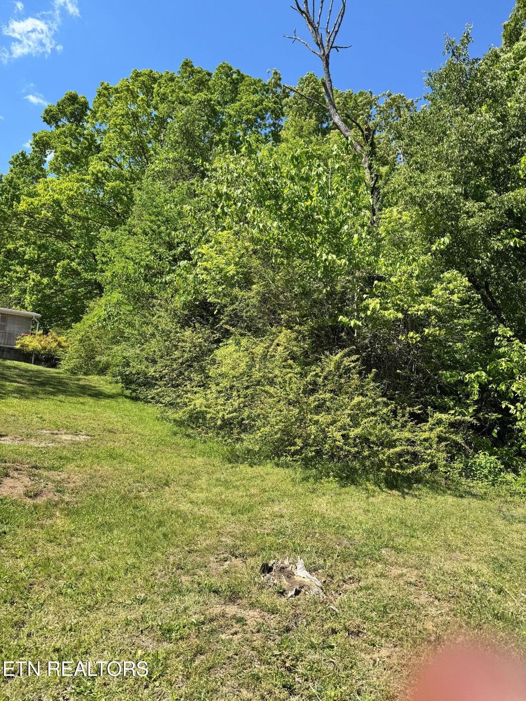 Photo of 0 Brown Rd, Knoxville, TN 37920 (MLS # 1337894)