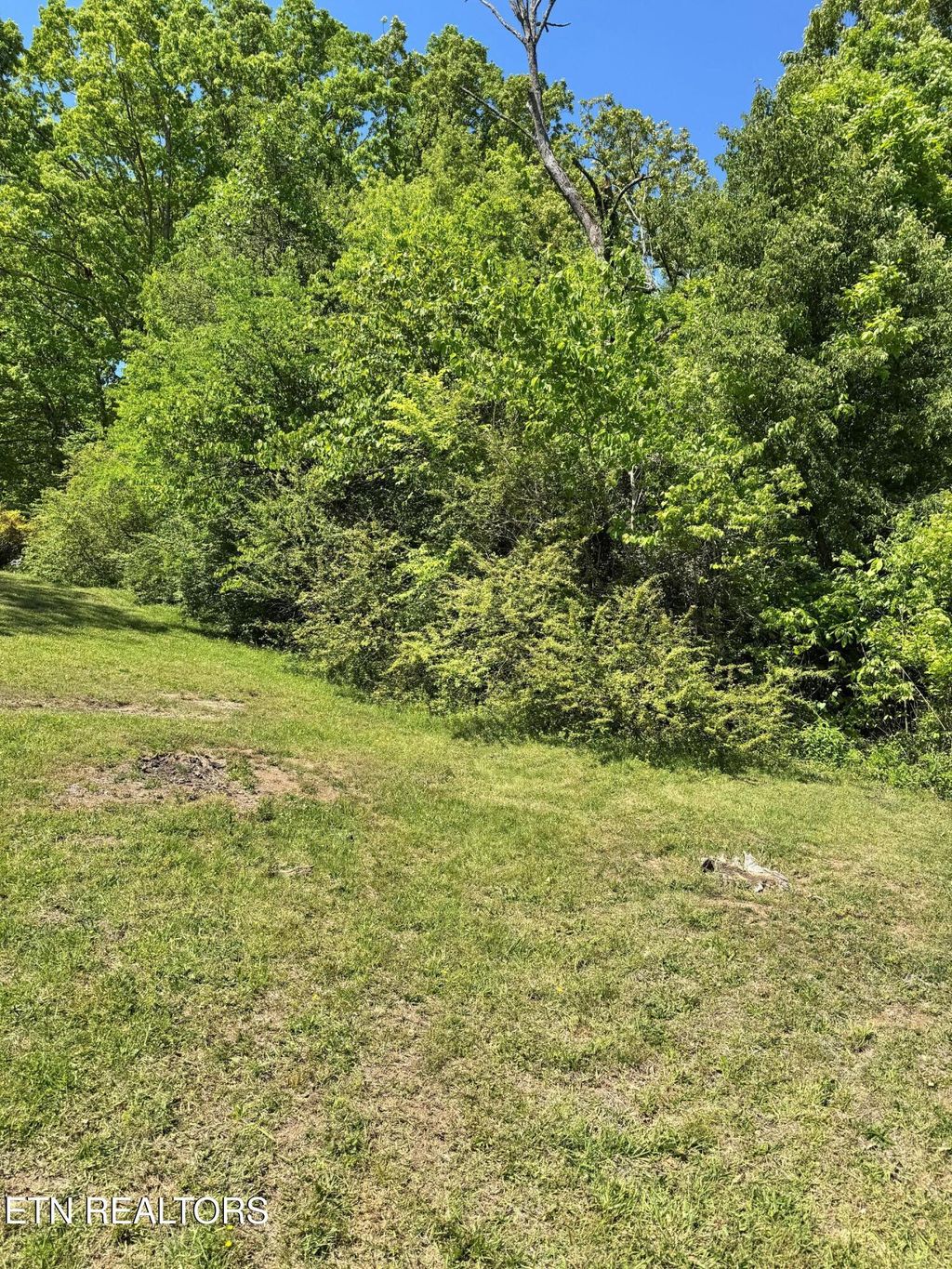 Photo of 0 Brown Rd, Knoxville, TN 37920 (MLS # 1337894)