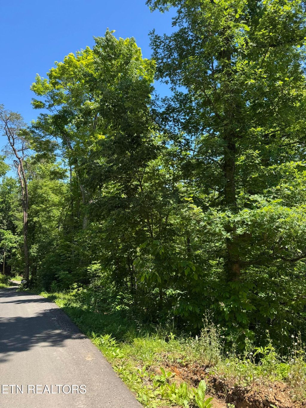 Photo of 2313 High View Rd, Sevierville, TN 37876 (MLS # 1340816)