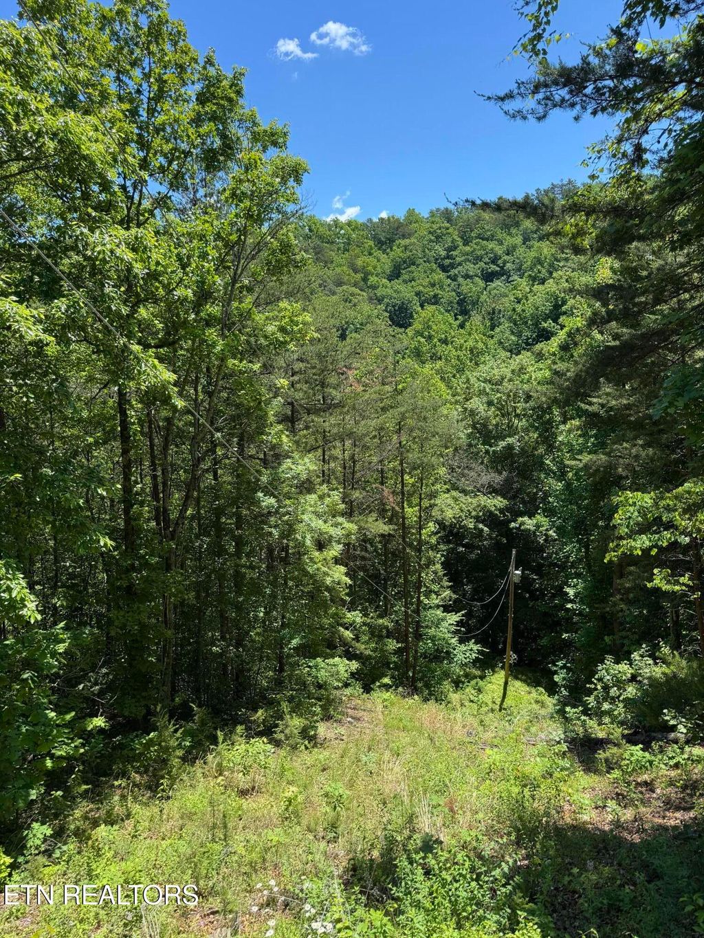 Photo of 2313 High View Rd, Sevierville, TN 37876 (MLS # 1340816)