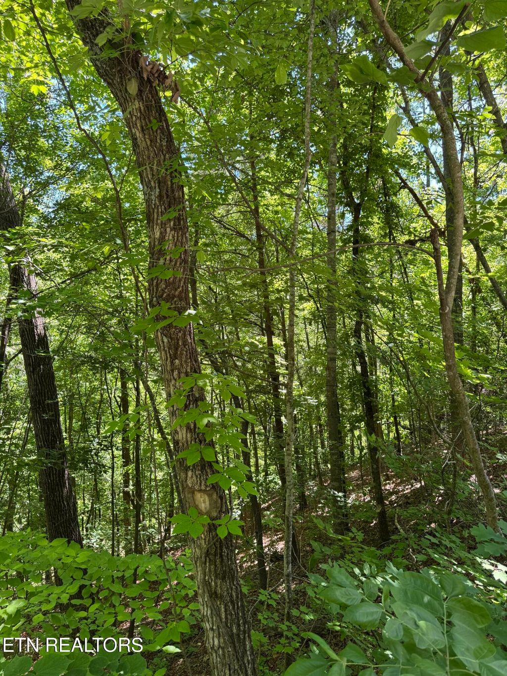 Photo of 2313 High View Rd, Sevierville, TN 37876 (MLS # 1340816)