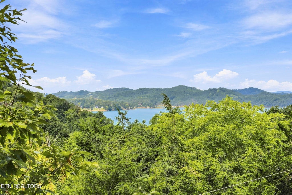 Photo of 3490 Caywood Rd, Dandridge, TN 37725 (MLS # 1352903)