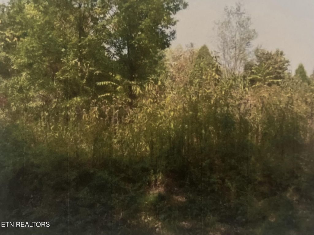 Photo of 141 Amohi Way, Loudon, TN 37774 (MLS # 1339497)