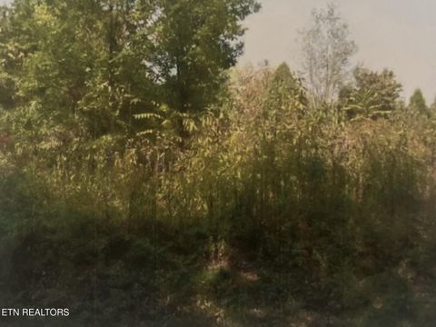 Photo of 141 Amohi Way, Loudon, TN 37774 (MLS # 1339497)