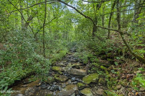 Burville Rd Rd Sunbright TN 37872