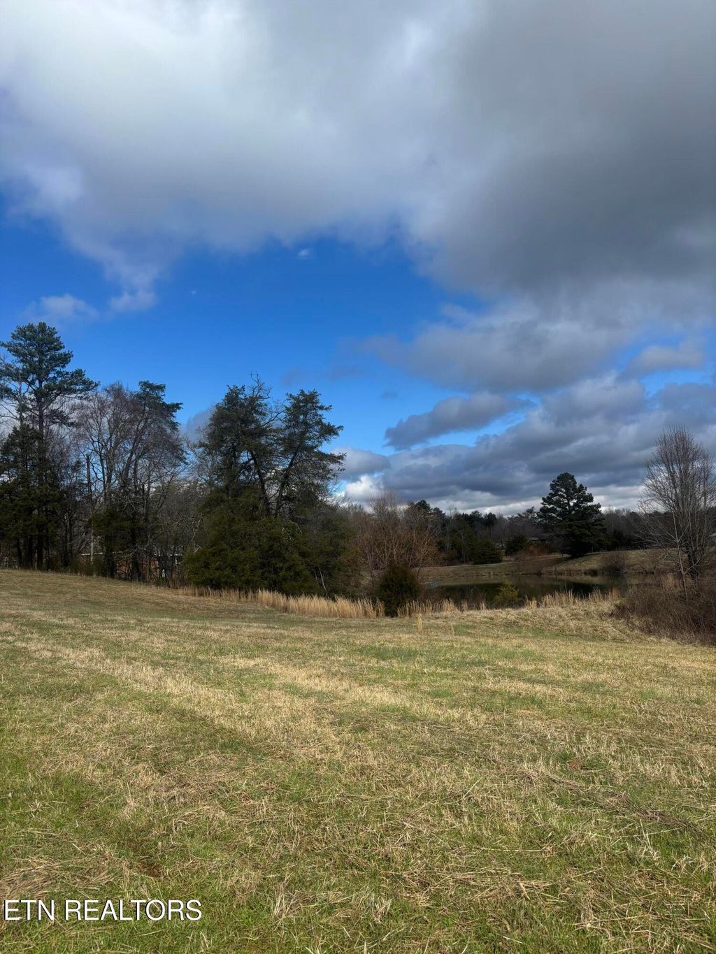 Photo of 110 Peninsula Rd, Harriman, TN 37748 (MLS # 1331680)
