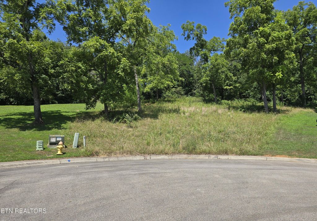 Photo of Morningside Lane, Dandridge, TN 37725 (MLS # 1308551)