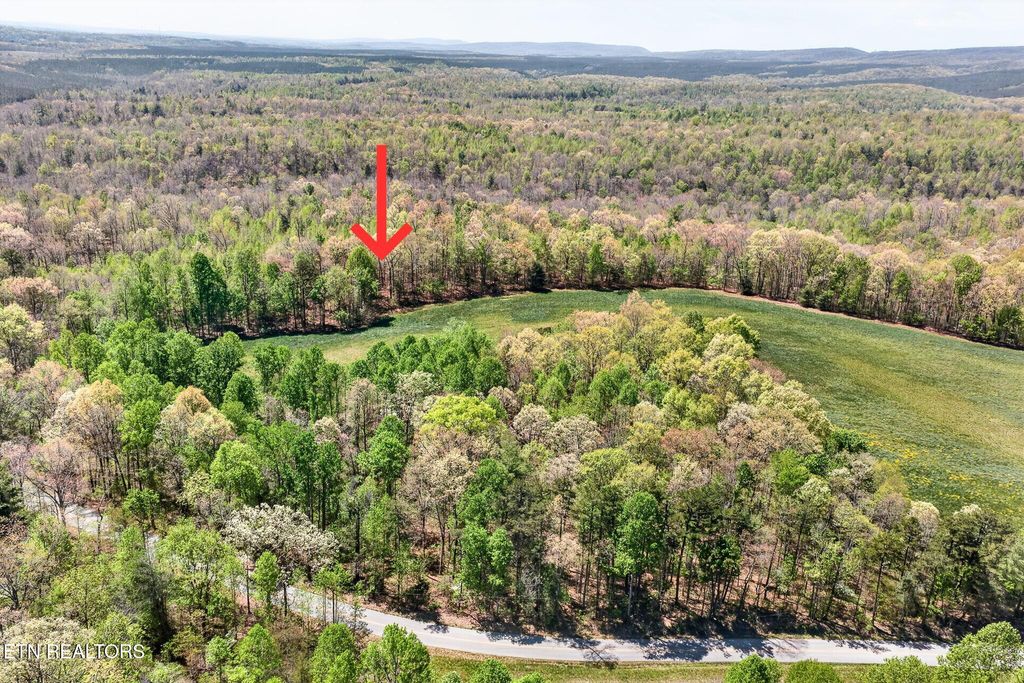 Photo of 5 Smith Mountain Rd, Rockwood, TN 37854 (MLS # 1337620)