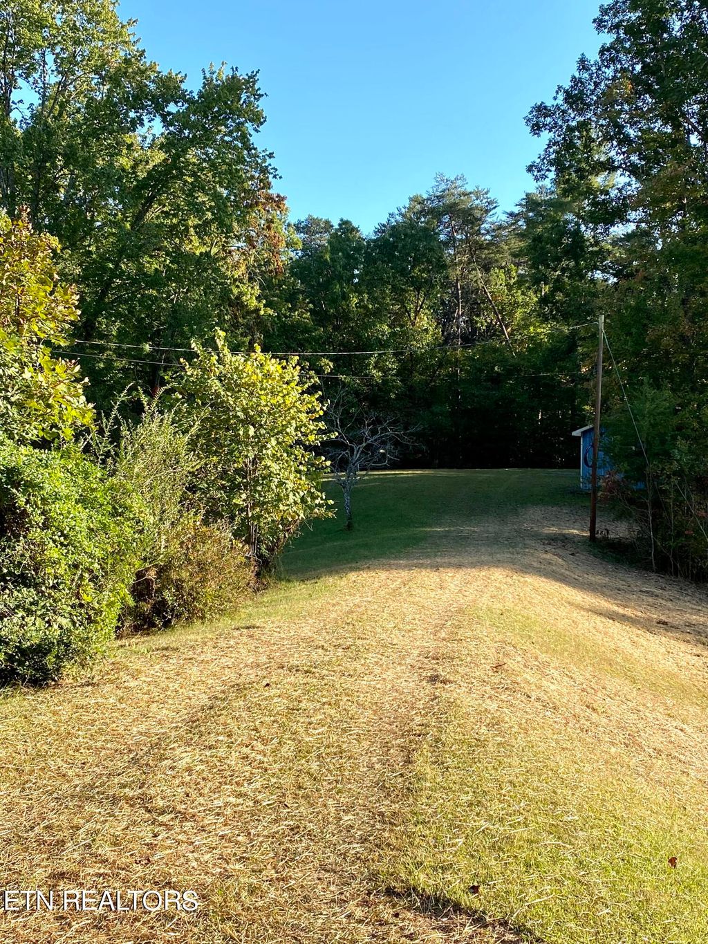 Photo of 147 Ironsburg Rd, Tellico Plains, TN 37385 (MLS # 1241740)
