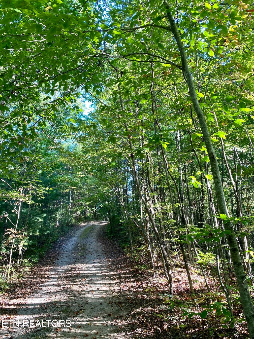 Photo of 147 Ironsburg Rd, Tellico Plains, TN 37385 (MLS # 1241740)