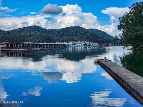 Tiny photo for 164 Dogwood Tr, Maynardville, TN 37807 (MLS # 1322326)