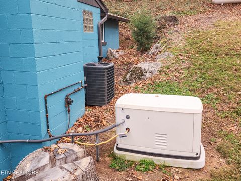 Tiny photo for 164 Dogwood Tr, Maynardville, TN 37807 (MLS # 1322326)