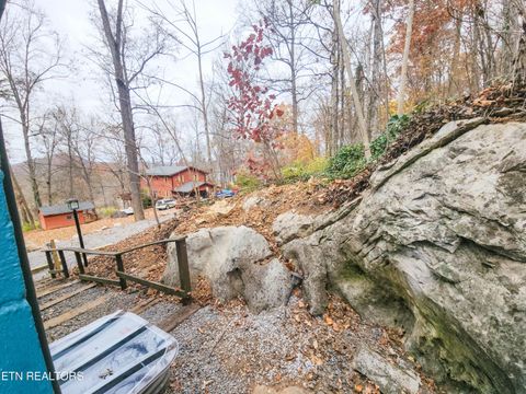 Tiny photo for 164 Dogwood Tr, Maynardville, TN 37807 (MLS # 1322326)