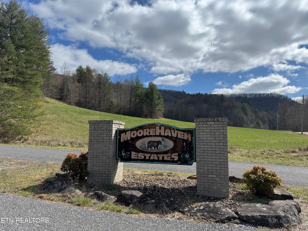 Photo of Cougar Trail Lot 17 2.08ac Tr, Del Rio, TN 37727 (MLS # 1345566)