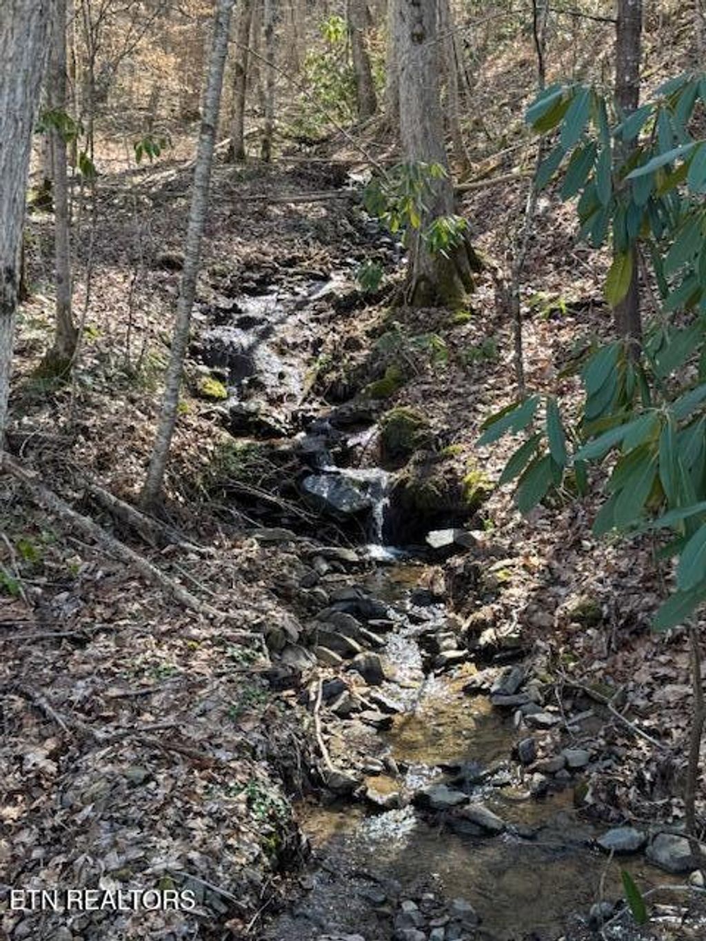 Photo of Cougar Trail Lot 17 2.08ac Tr, Del Rio, TN 37727 (MLS # 1345566)
