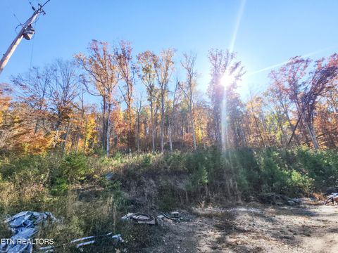 Tiny photo for 738742 Archer Rd, Luttrell, TN 37779 (MLS # 1321078)