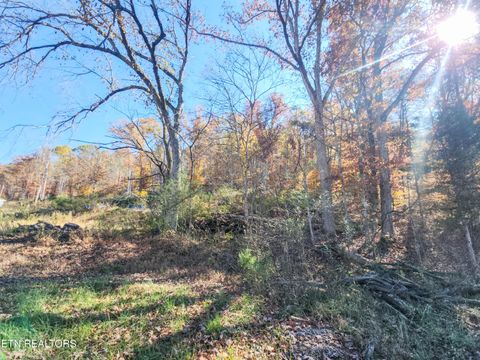 Tiny photo for 738742 Archer Rd, Luttrell, TN 37779 (MLS # 1321078)