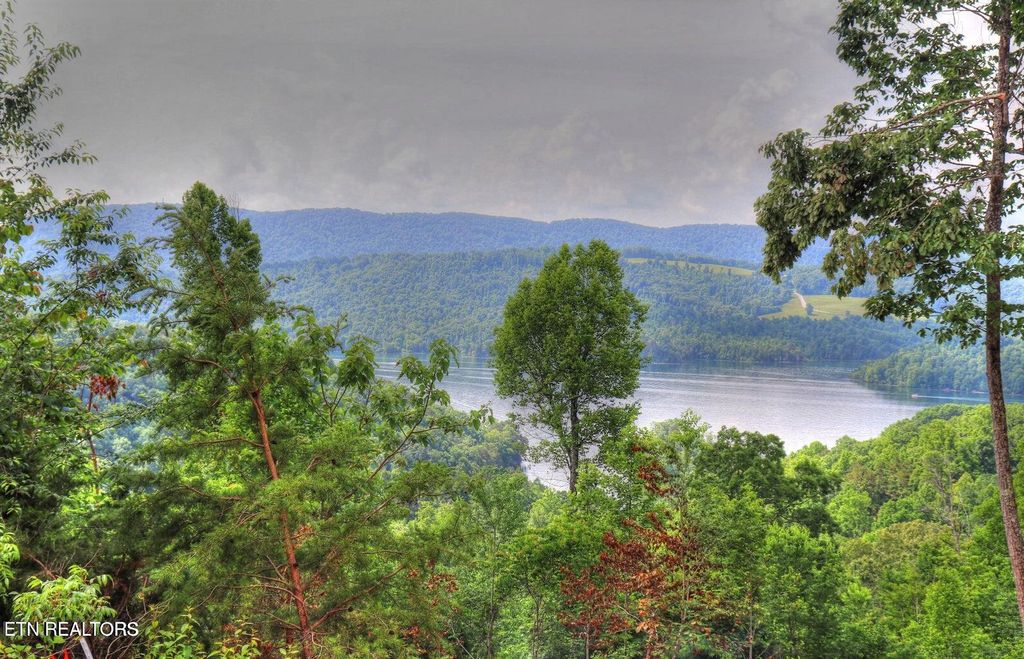 Photo of 440 Feldspar Rd, New Tazewell, TN 37825 (MLS # 1303742)